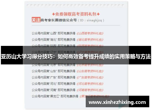 亚历山大学习得分技巧：如何高效备考提升成绩的实用策略与方法