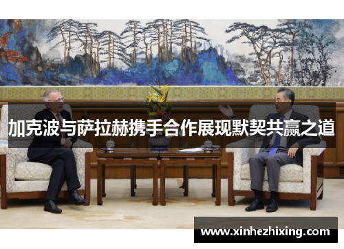 加克波与萨拉赫携手合作展现默契共赢之道