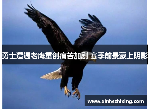 勇士遭遇老鹰重创痛苦加剧 赛季前景蒙上阴影