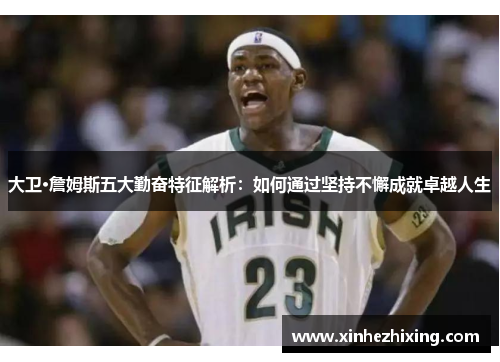 大卫·詹姆斯五大勤奋特征解析：如何通过坚持不懈成就卓越人生
