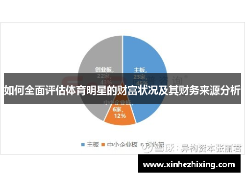 如何全面评估体育明星的财富状况及其财务来源分析