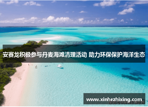 安赛龙积极参与丹麦海滩清理活动 助力环保保护海洋生态